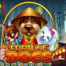 Fortune Dogs